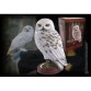 Estatua Hedwig Harry Potter Noble Collection 25 cm